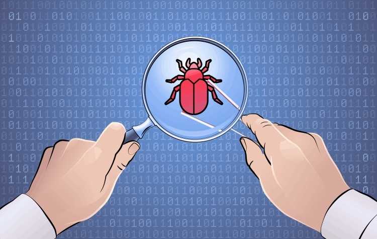 bug hunt brasil bug bounty